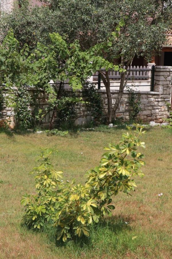 Damaskis Kassiopi Studios Exteriör bild